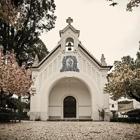 ホテル Palace & 4*